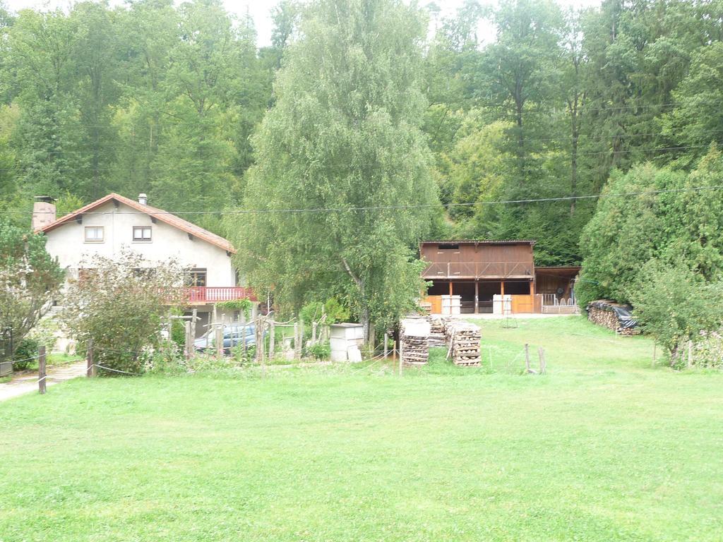 Gîte De La Vallée Soucht Habitación foto
