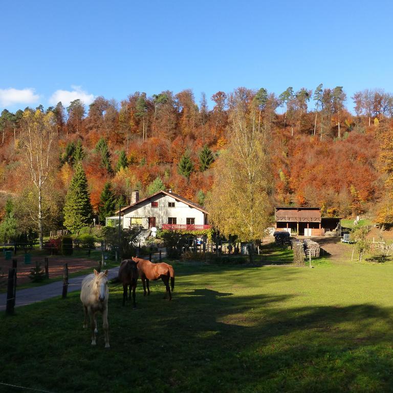 Gîte De La Vallée Soucht Habitación foto